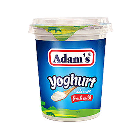 Adams Yogurt 400Gm