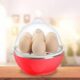 Egg Boiler