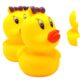 Chuchu Duck