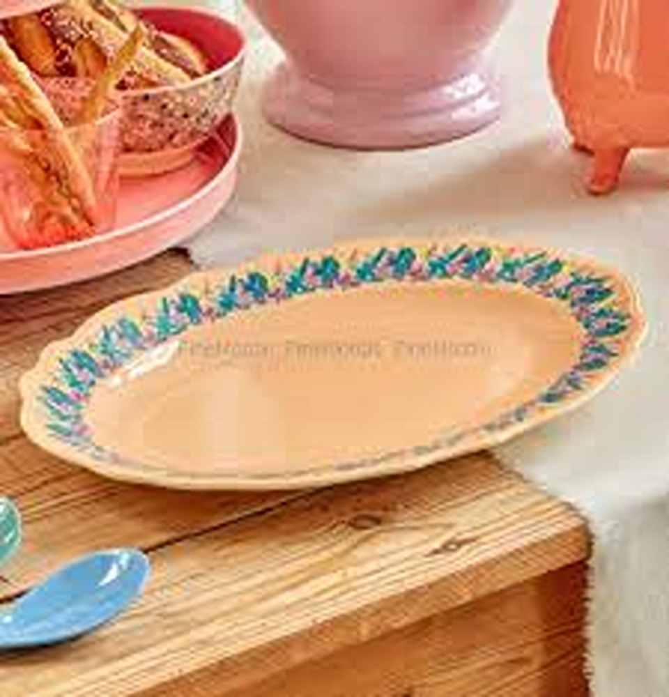Dish Melamine