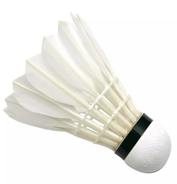 Badminton Shuttle