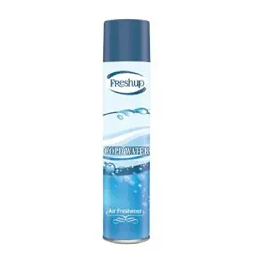Freshup Air Frshner 300Ml