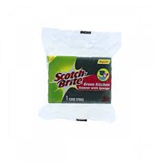 S-B G-Kitchen Sponge( Regular)